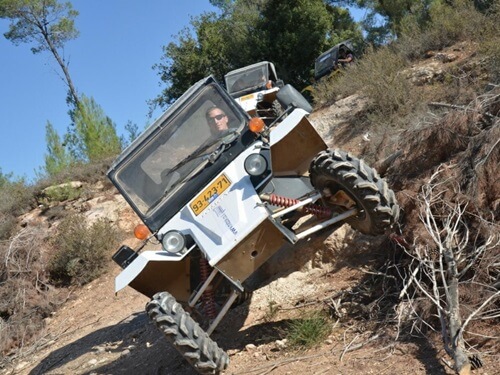 תמונה של טרקטורונים ותומקאר