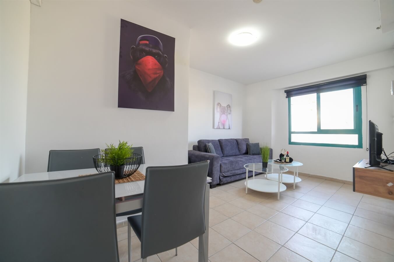 תמונה של דירה 126 - 3