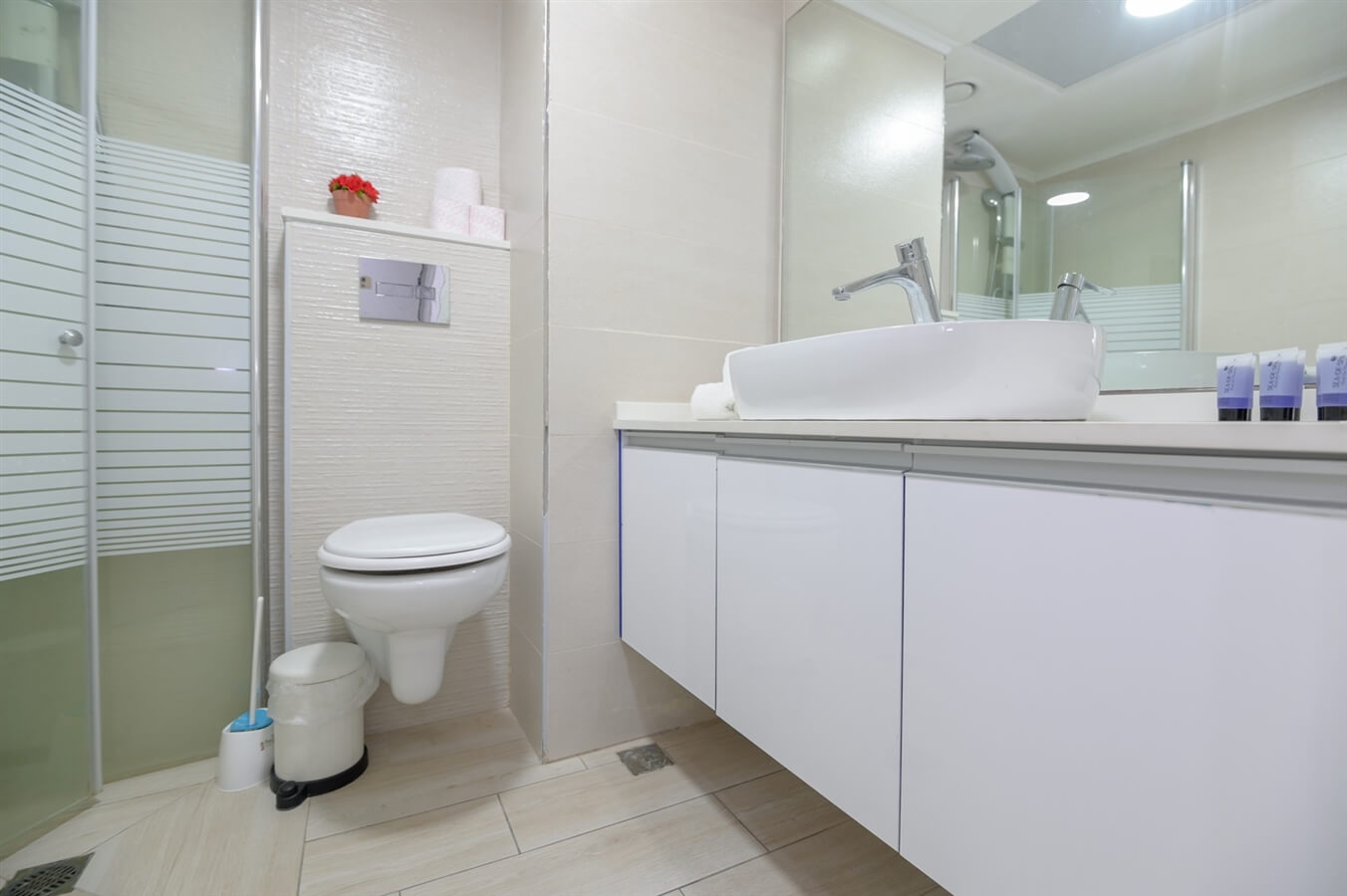 תמונה של לבנה 119 - 8