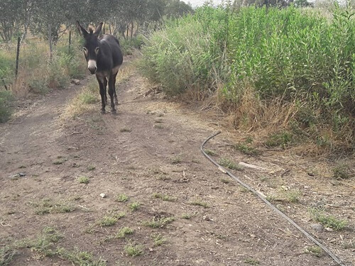 תמונה של המסלולים המומלצים