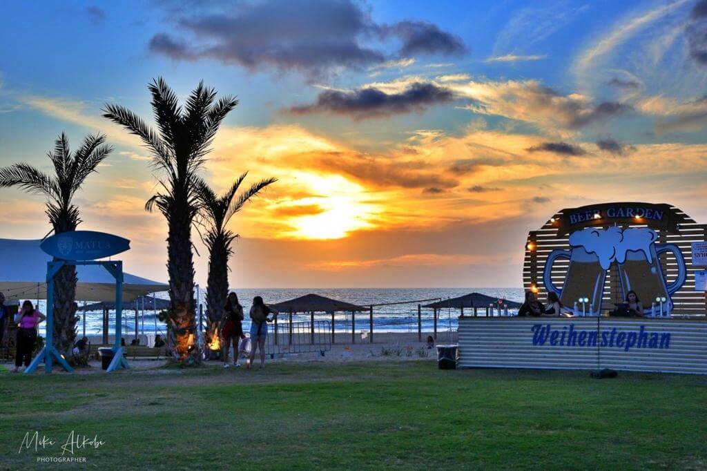 תמונה של מתחם החורשה - 5