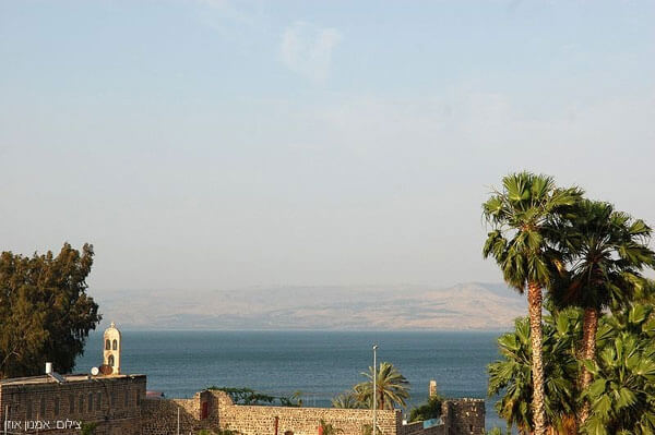 תמונה של יחידות אירוח - 6