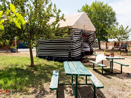 תמונה של טיולי אופניים