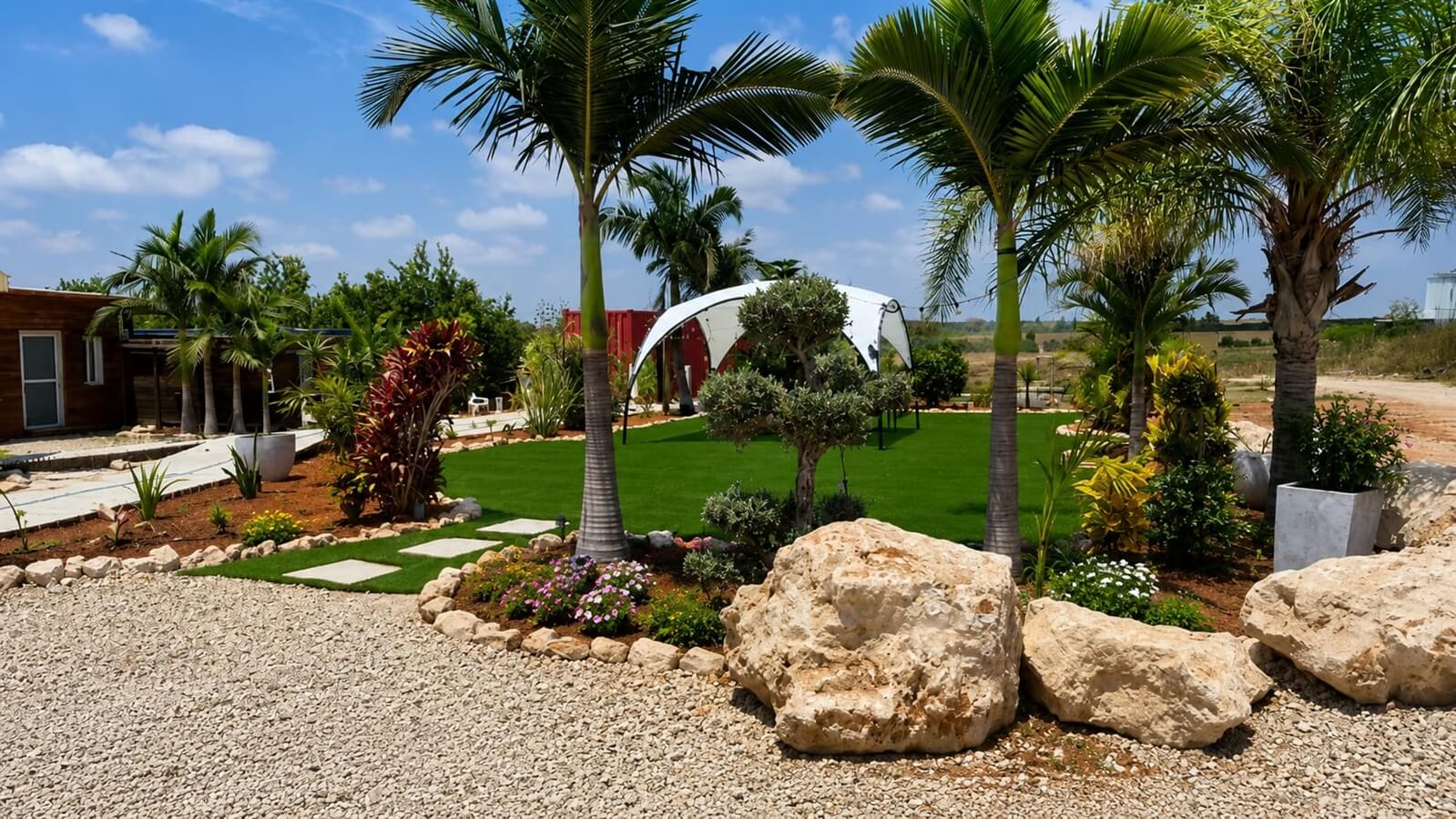תמונה שצולמה באצלנו בפרדס - 1 תמונה של אצלנו בפרדס - 1