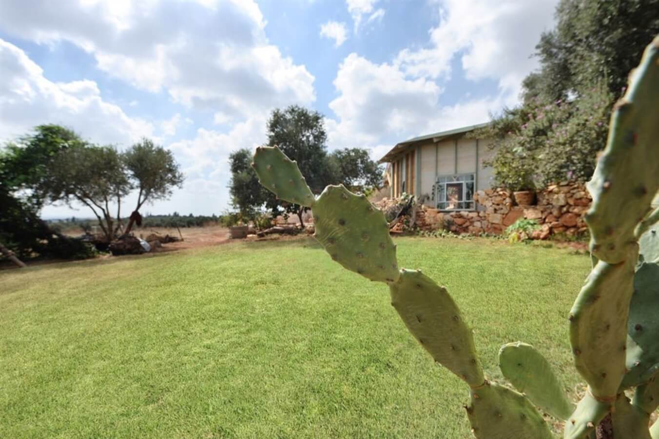 תמונה של הצימר - 11