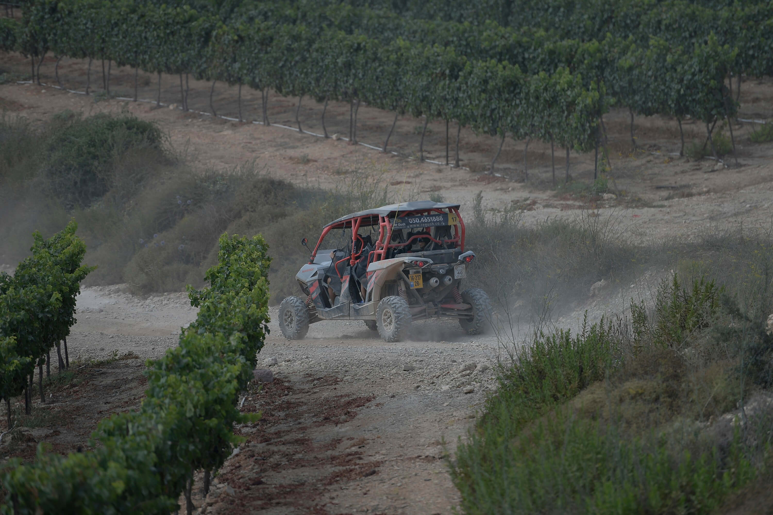 תמונה של טרקטורונים