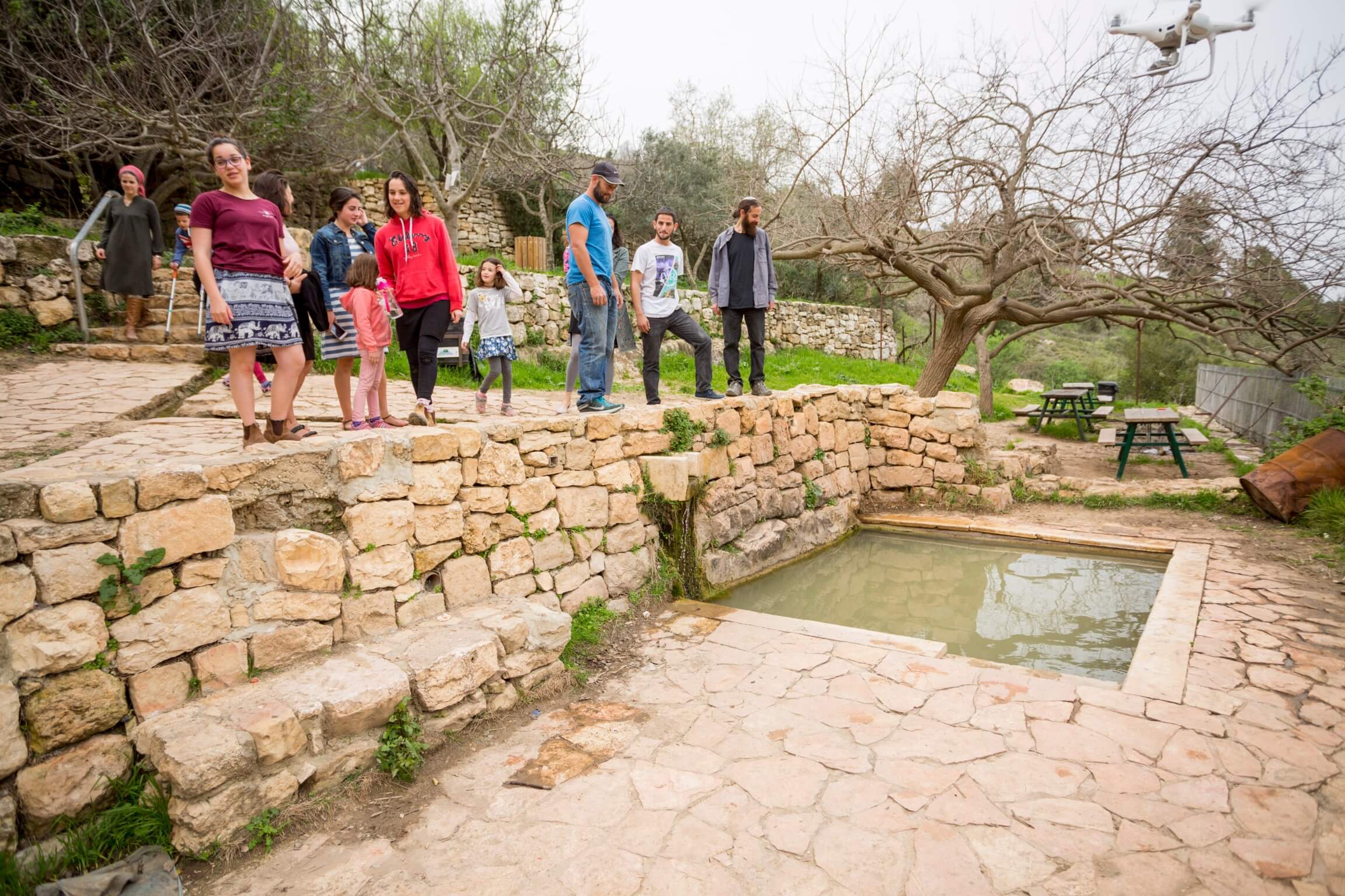 תמונה של טרקטורונים
