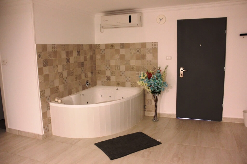 תמונה של יחידת סטודיו גדולה - 4