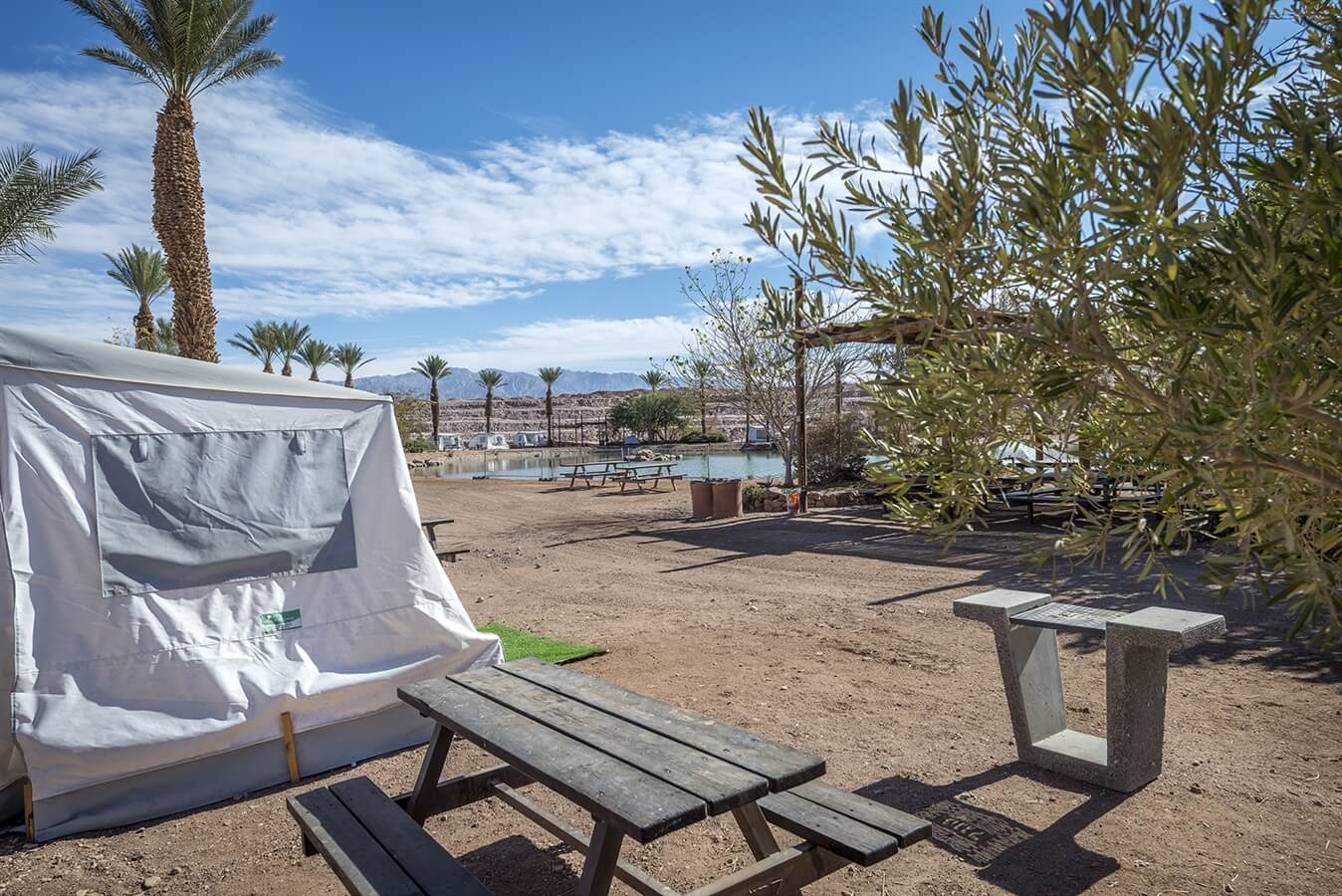 תמונה של אוהלי מורינגה - 4