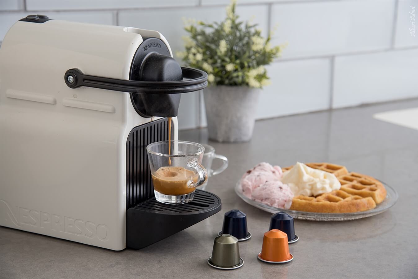 תמונה של הסוויטה - 3