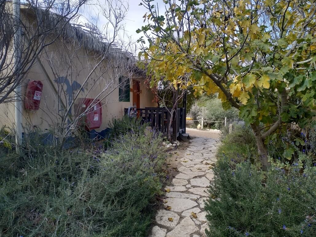 תמונה של יחידות משפחתיות - 6