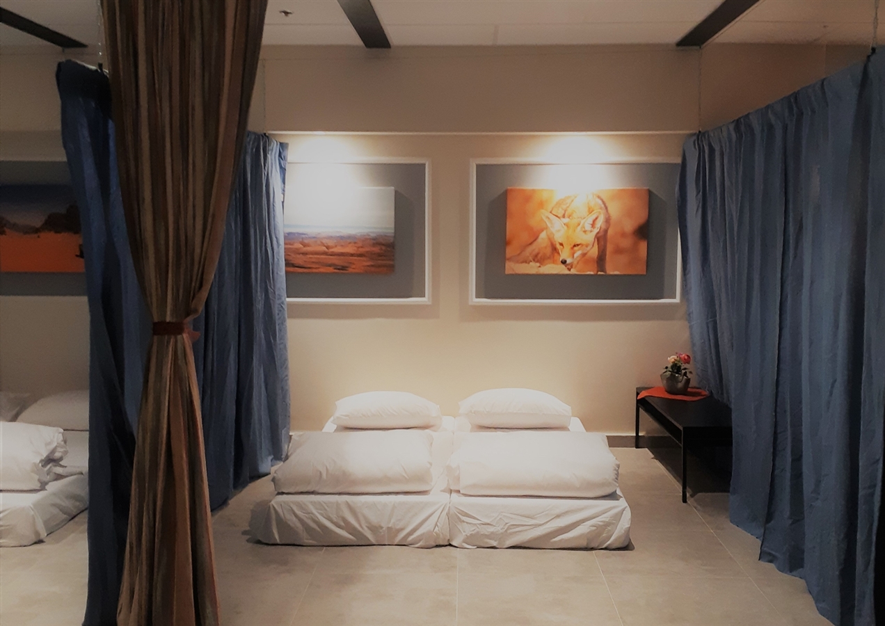 תמונה של קומת הלופט - 5