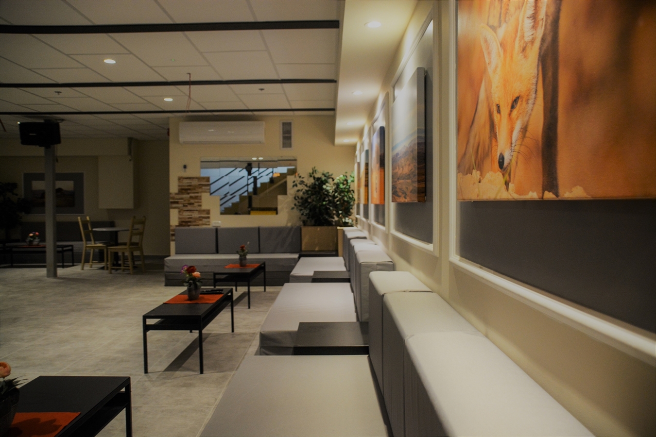 תמונה של קומת הלופט - 3