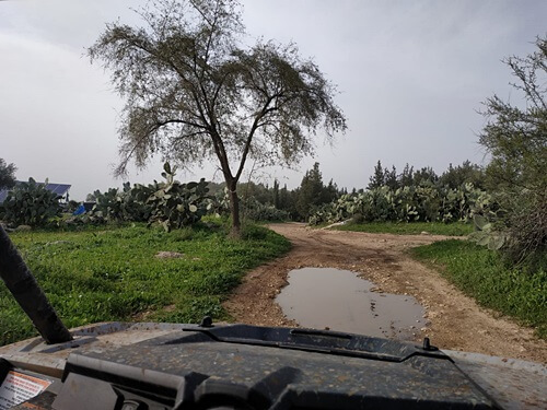 תמונה של מסלולים