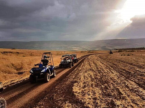 תמונה של המסלולים