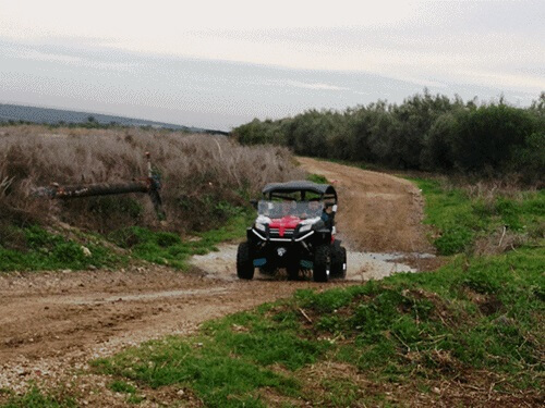 תמונה של המסלולים