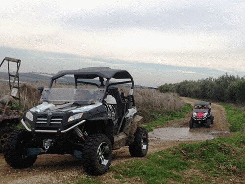 תמונה של המסלולים