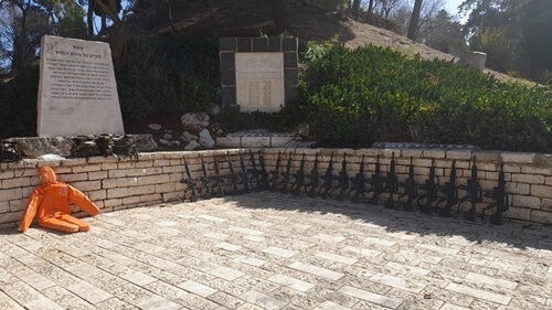 תמונה של FALCON לייזר טאג