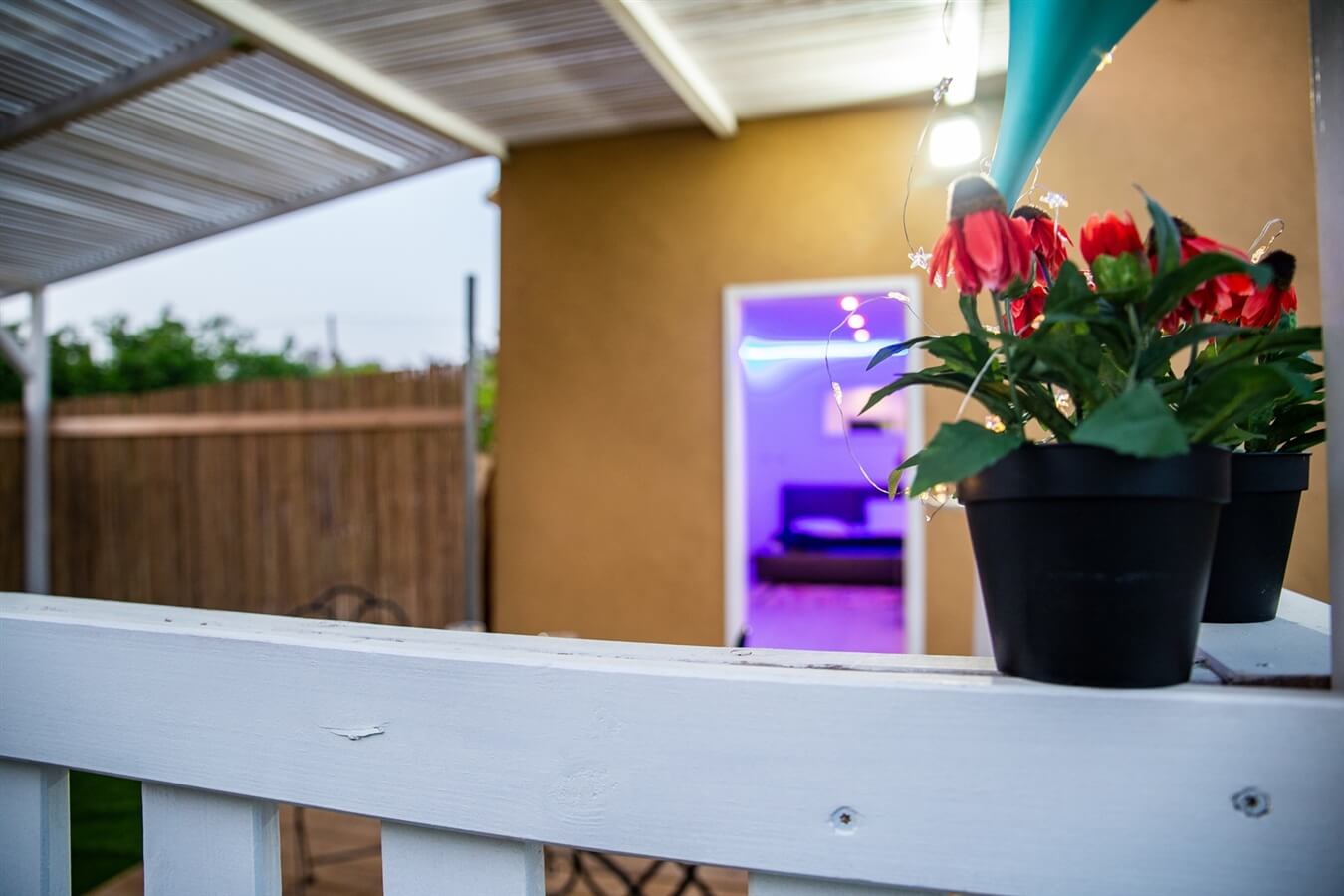 תמונה של סוויטה אלה - 7 תמונה של סוויטה אלה - 7