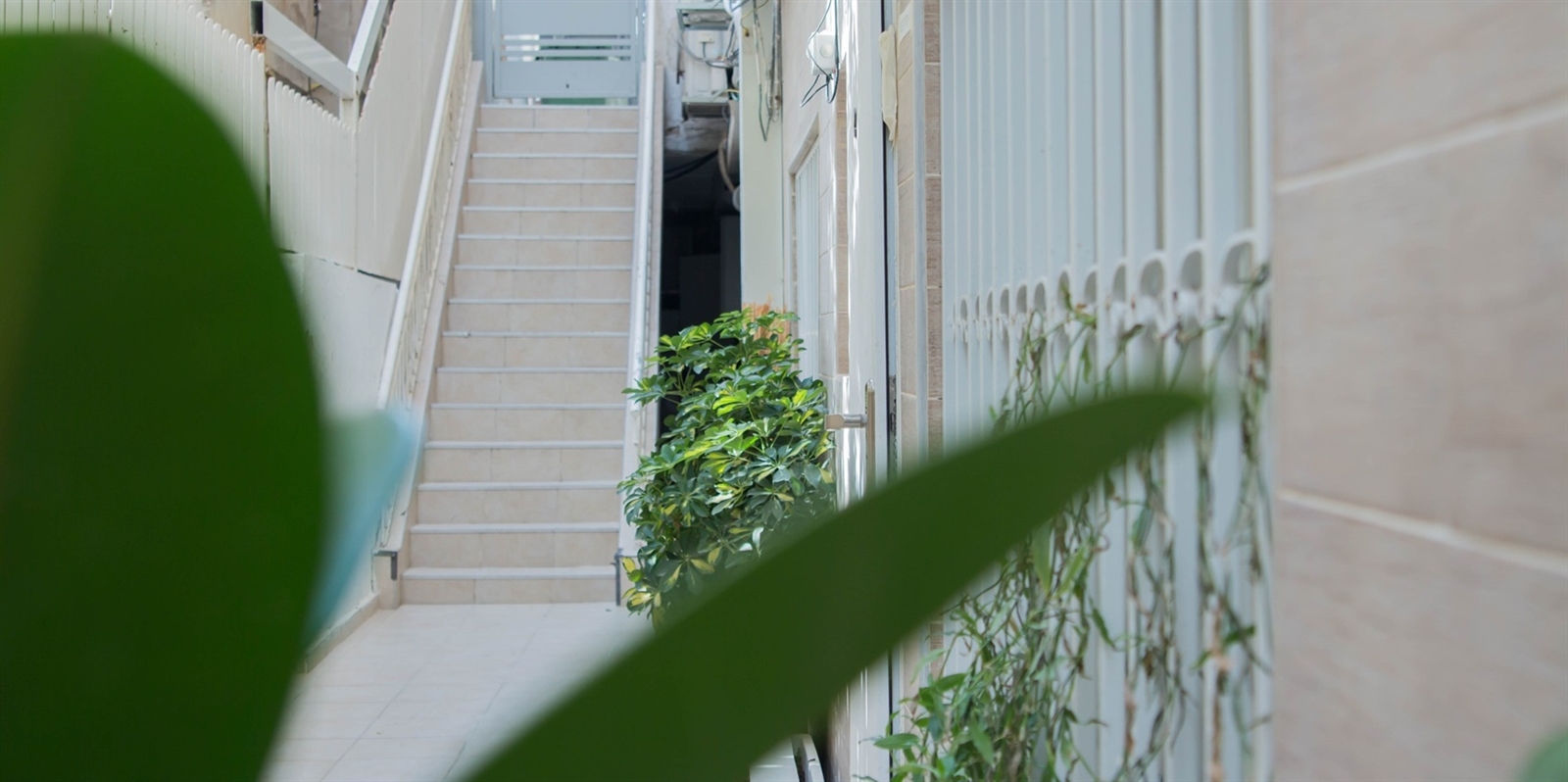 תמונה של החדרים - 8 תמונה של החדרים - 8