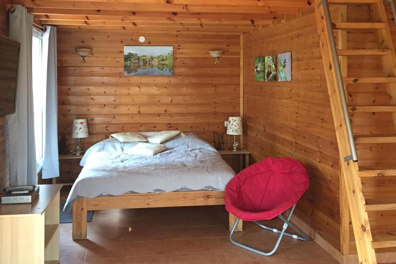 תמונה של בקתת העץ - 3