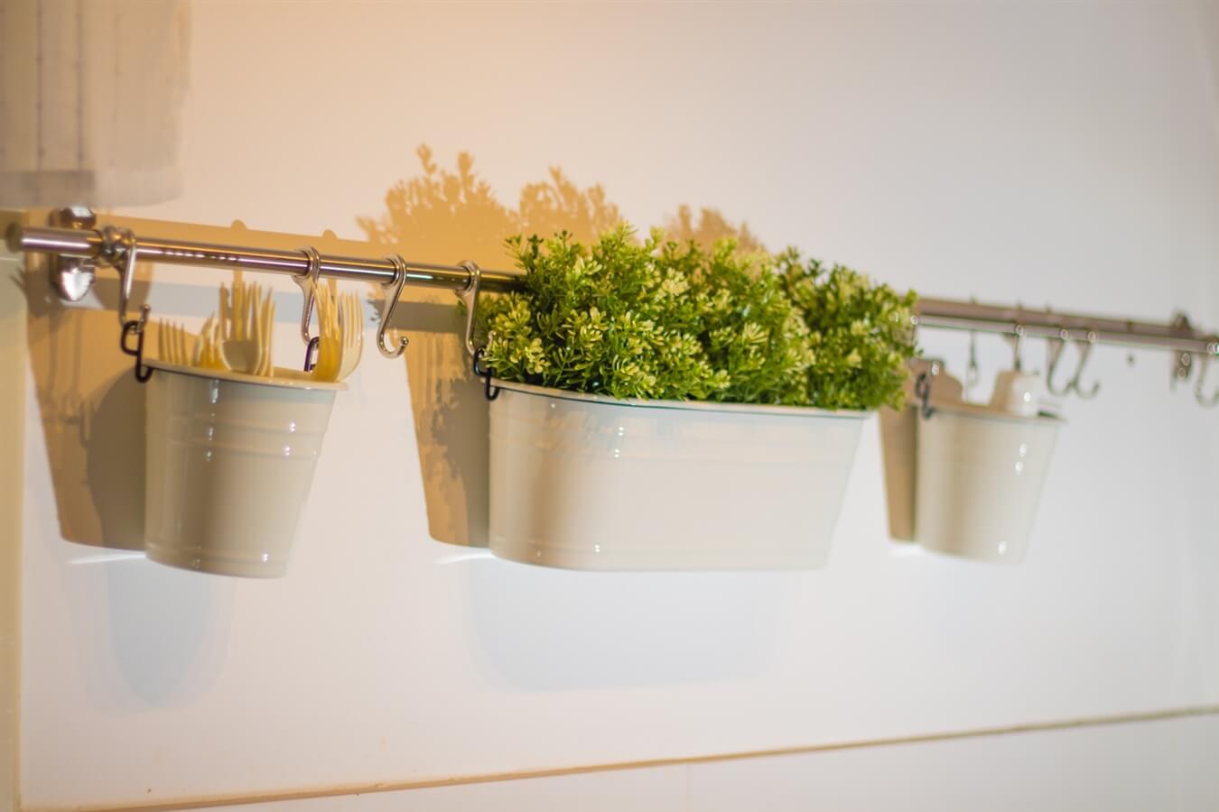 תמונה של יחידת האירוח - 9