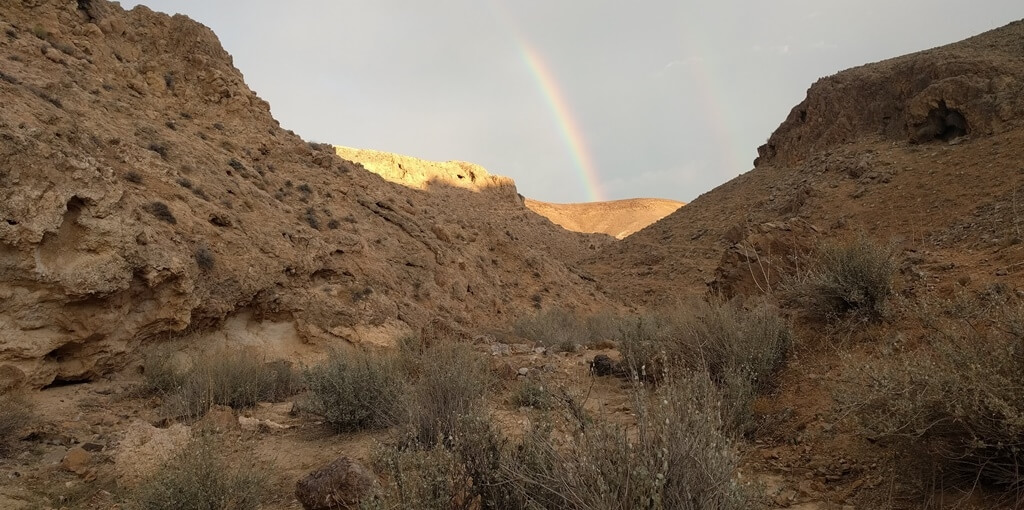 תמונה של החדר הצעיר - 7 תמונה של החדר הצעיר - 7