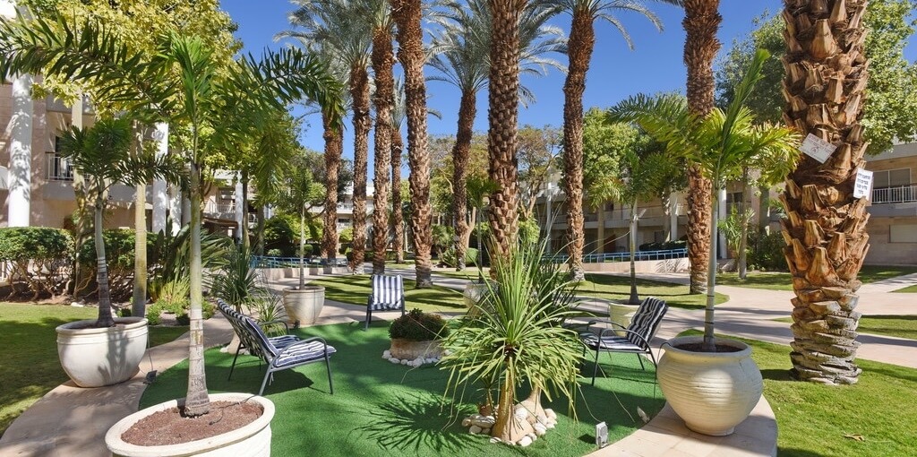 תמונה של דירת סטודיו אודליה - 9