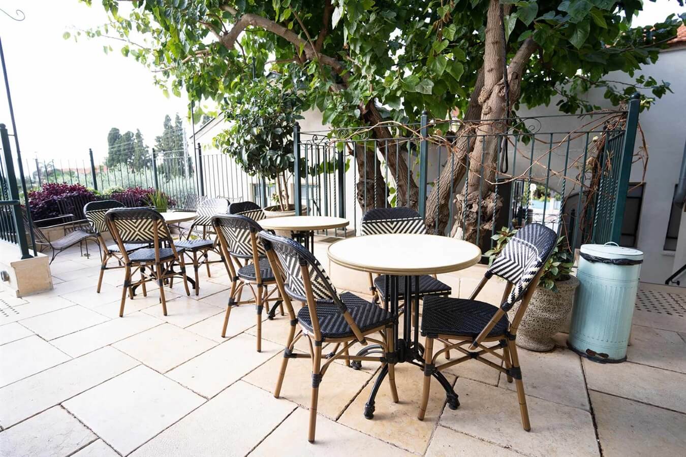 תמונה של סוויטה 9 - ענב - 6