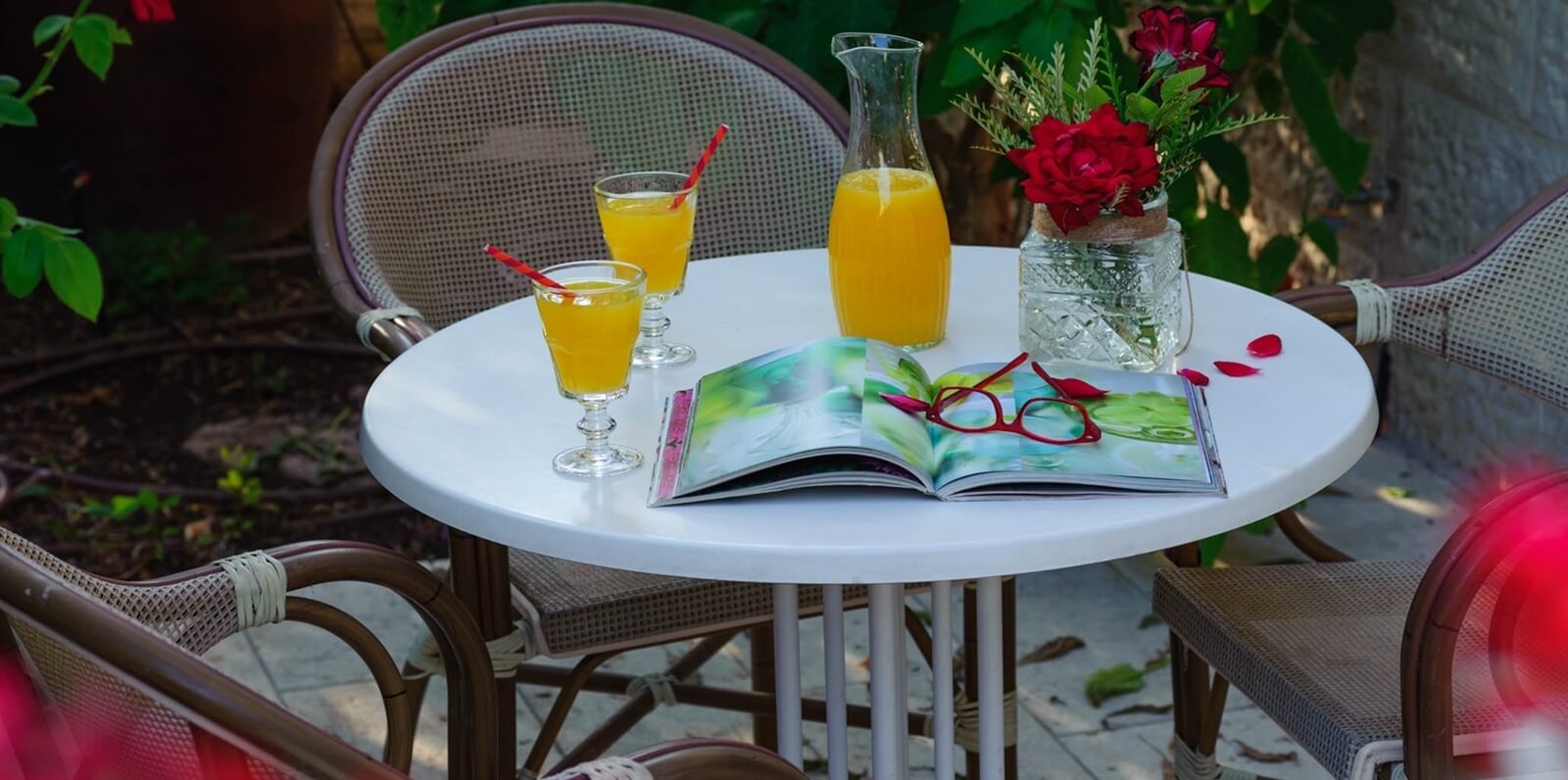 תמונה של דירת גן - 6