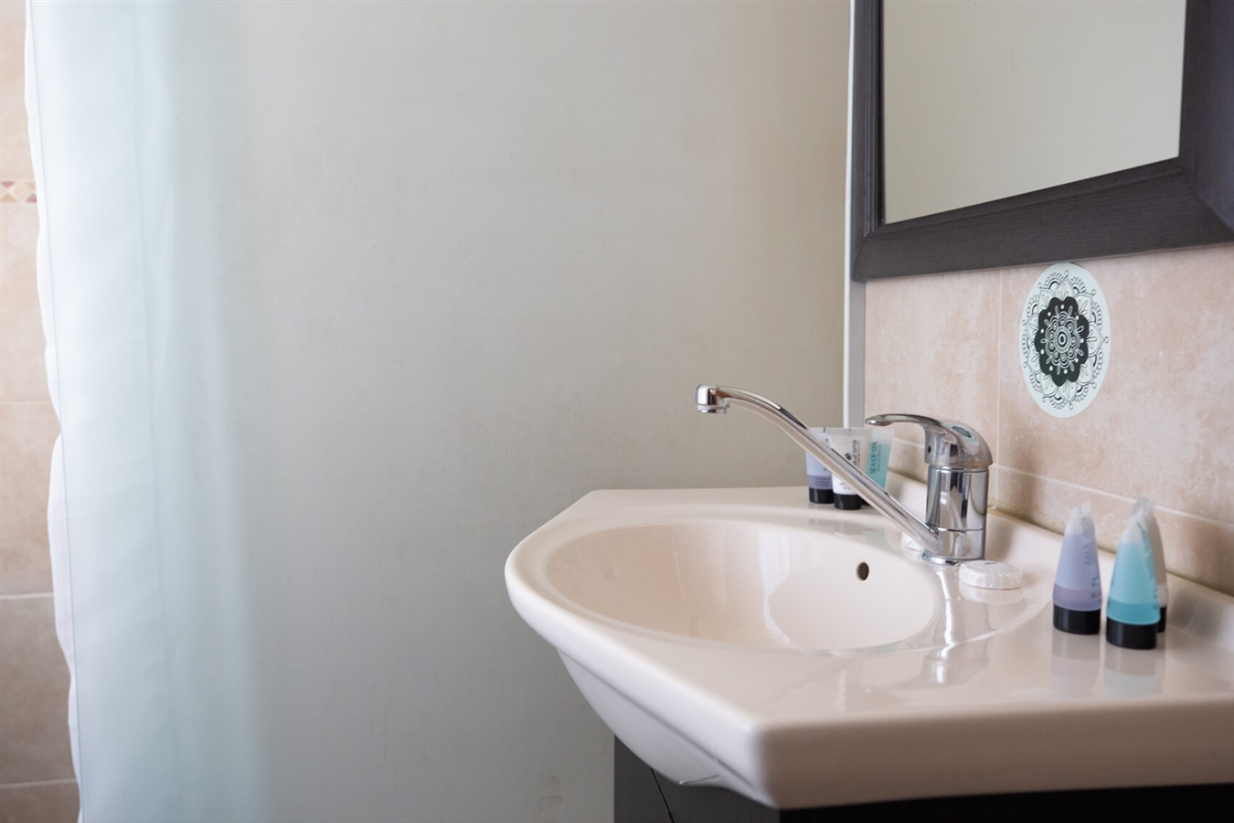 תמונה של יחיד מוזל - 2