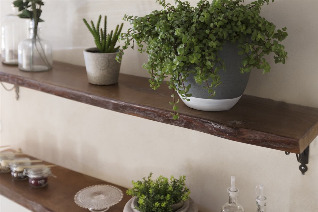 תמונה של דלקס - 8