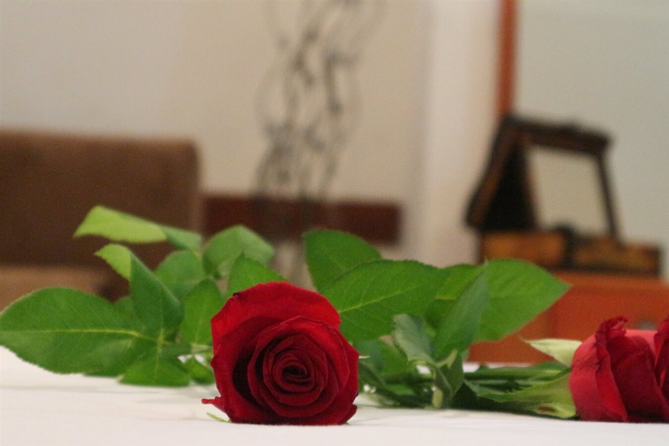 תמונה של הסוויטה הגדולה - 5