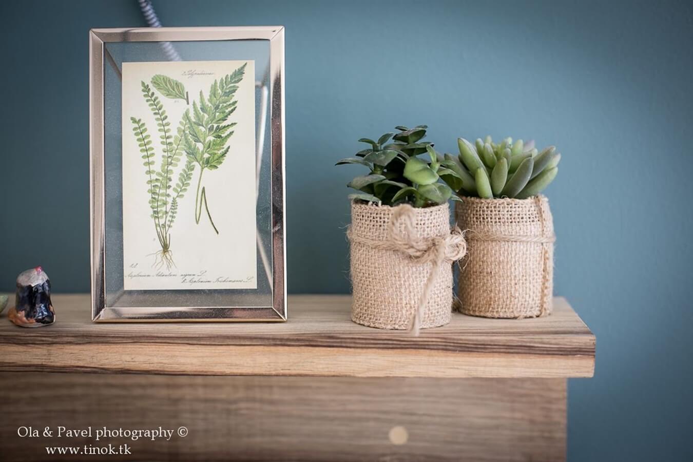 תמונה של יחידת אירוח אלה - 6