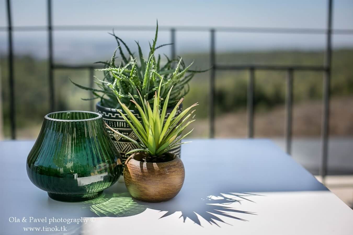 תמונה של יחידת אירוח אלה - 8