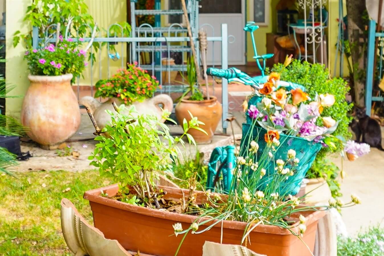 תמונה של יחידת בר - 6 תמונה של יחידת בר - 6