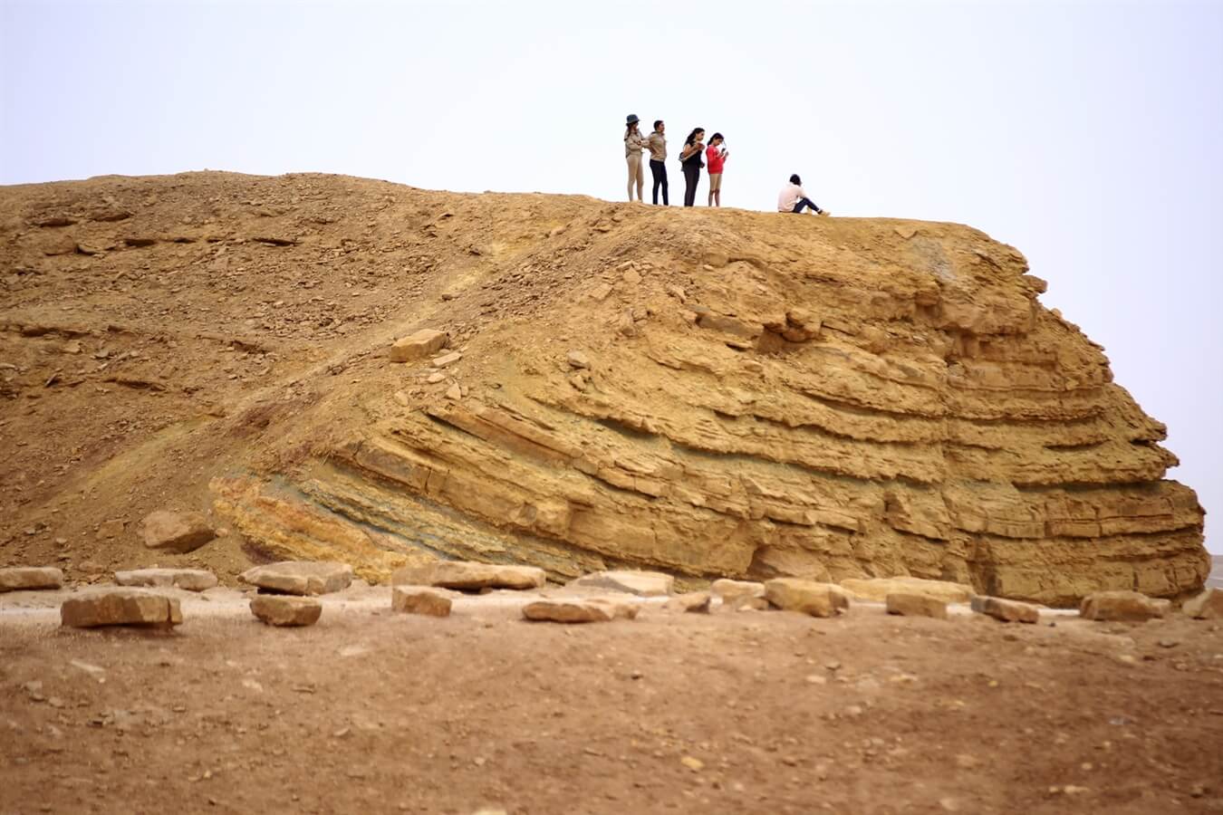 תמונה של מאהל בדואי - 6 תמונה של מאהל בדואי - 6