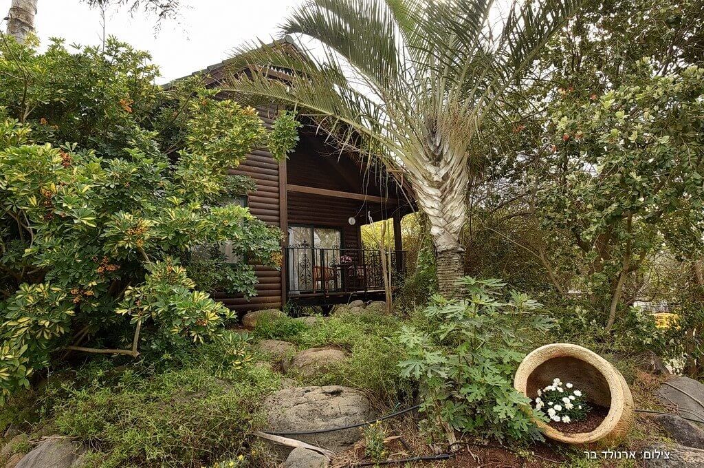 תמונה של בקתת שאטו - 9