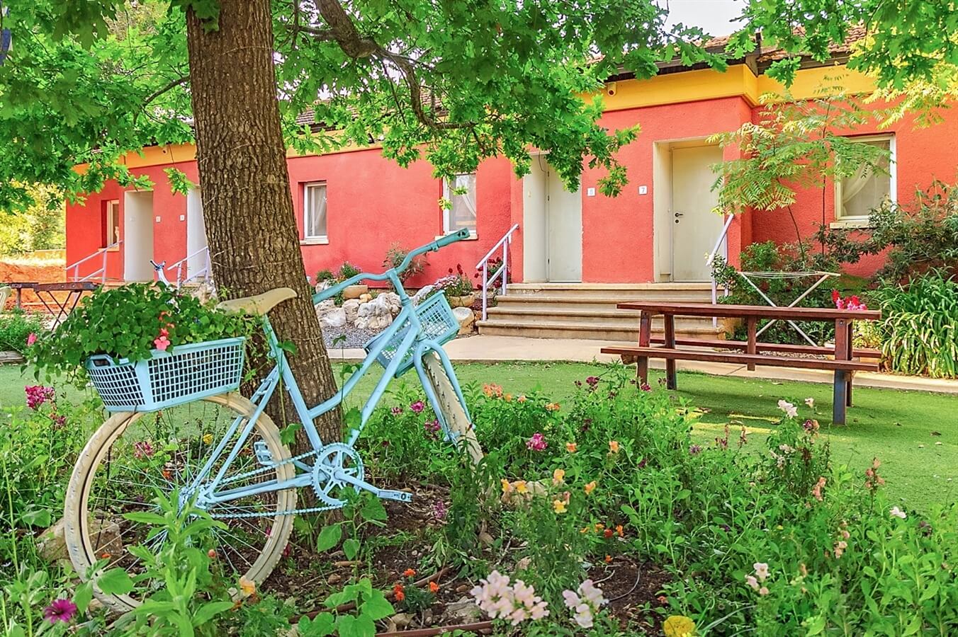 תמונה של חדרים זוגיים - 6