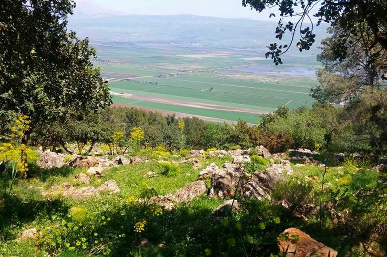 תמונה של חדר מונגש - 4