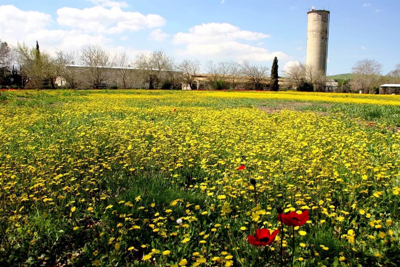 תמונה של חדר מונגש - 5