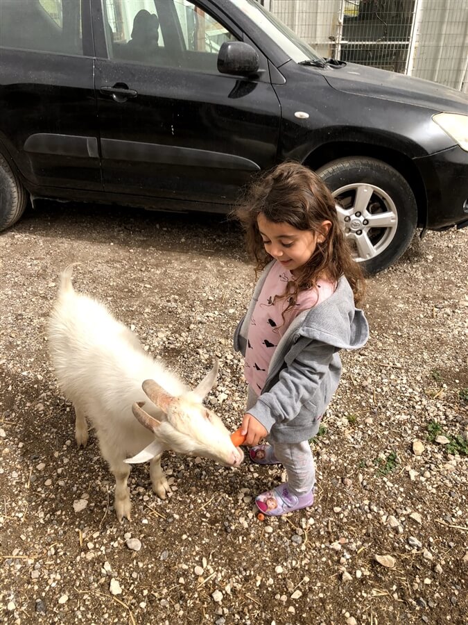 תמונה של צימר אייר - 8