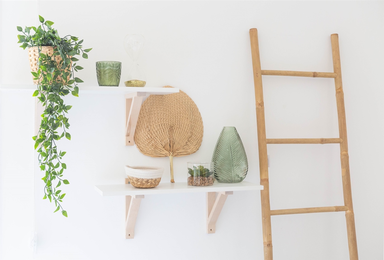 תמונה של הדירה הירוקה - 10 תמונה של הדירה הירוקה - 10