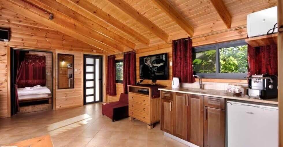 תמונה של קינמון - 5