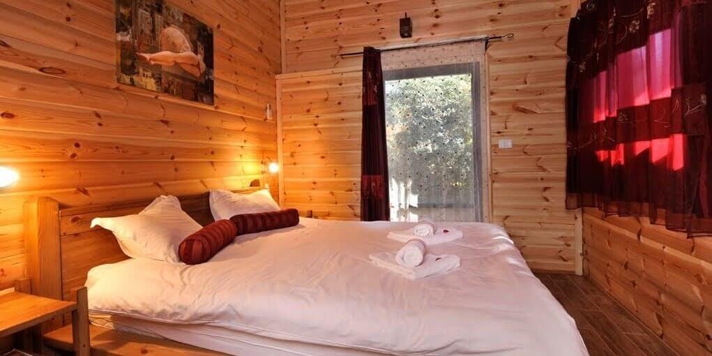 תמונה של קינמון - 7