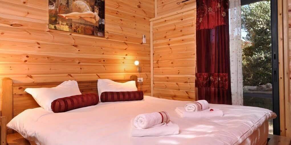 תמונה של קינמון - 2