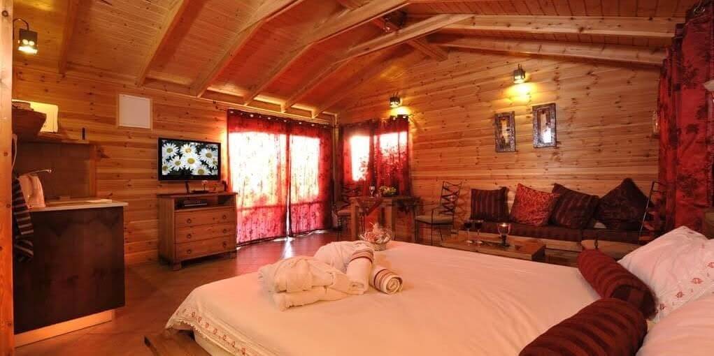 תמונה של מייפל - 8