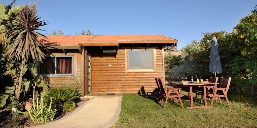 תמונה של קינמון - 8