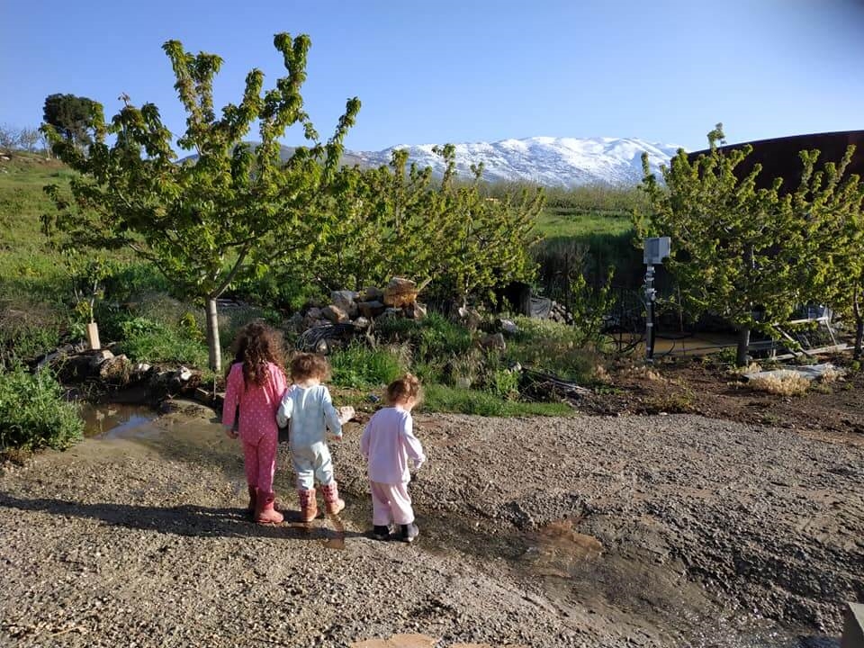 תמונה של איילה - 7