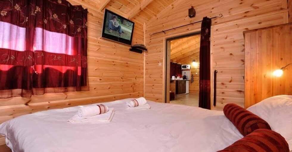 תמונה של קינמון - 3